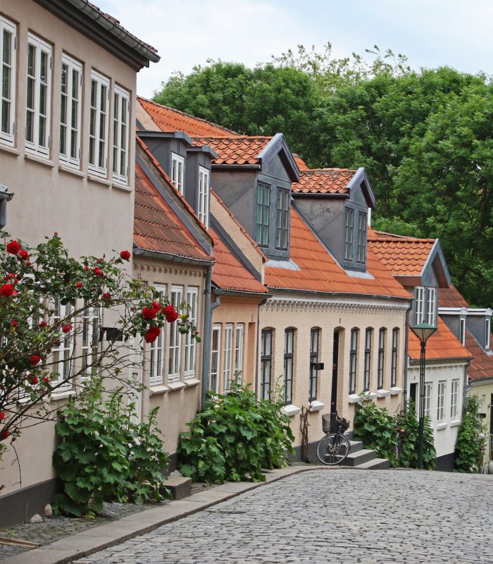 architecture-cobblestone-street-daylight-772177.jpg architecture-cobblestone-street-daylight-772177.jpg